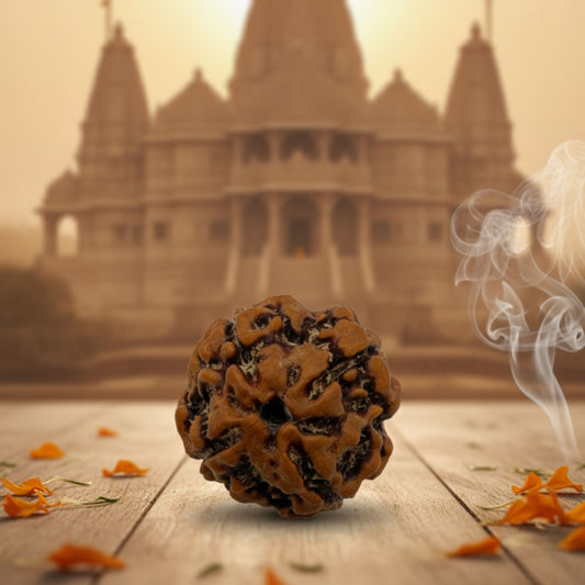 4 Mukhi Rudraksha (20mm) – Original Chaar Mukhi for Intelligence, Communication & Wisdom