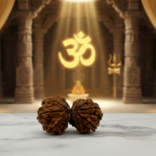 Gauri Shankar Rudraksha (34mm) – Original Sacred Bead for Marital Harmony, Love & Shiva–Parvati Blessings