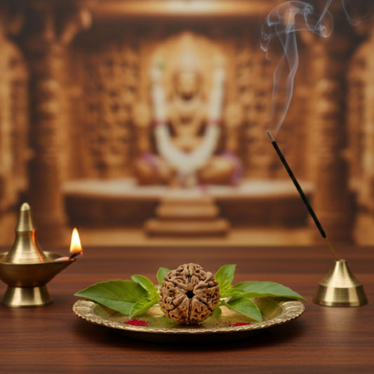 6 Mukhi Rudraksha (20mm) – Original Chhah Mukhi for Confidence, Focus & Career Growth