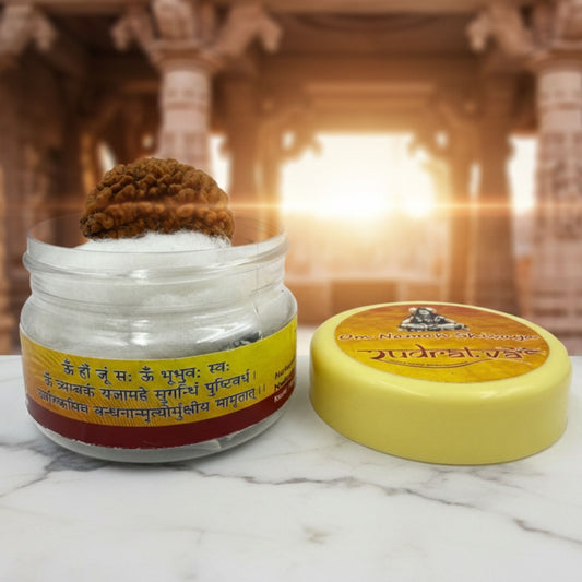 1 Mukhi Rudraksha (30mm) – Divine Blessings of Lord Shiva | Rare & Authentic