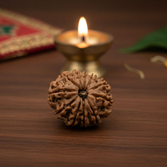 11 Mukhi Rudraksha (26mm) – Original Gyarah Mukhi for Courage, Leadership & Hanuman Ji Blessings