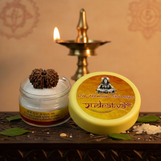 12 Mukhi Rudraksha (30mm) – Original Barah Mukhi for Leadership, Authority & Lord Surya Blessings