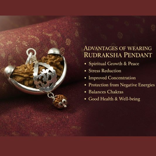 1 Mukhi Rudraksha with Pure Silver Cap (29mm) – Original Ek Mukhi for Meditation & Spiritual Growth