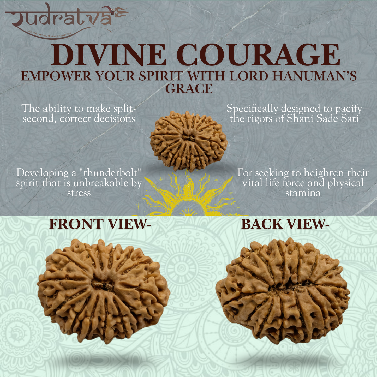 Original 14 Mukhi Rudraksha Bead – 28mm | Certified & Natural