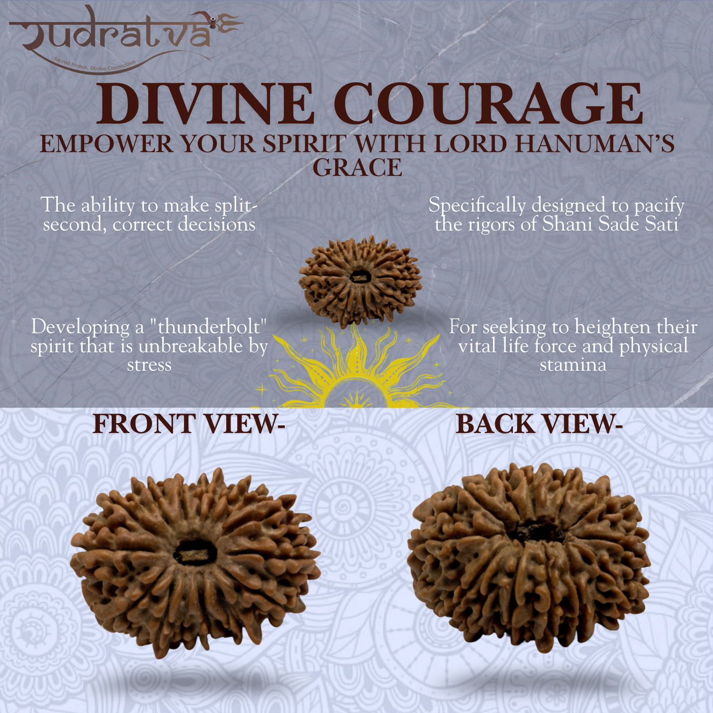 Original 14 Mukhi Rudraksha Bead – 23mm | Certified & Natural
