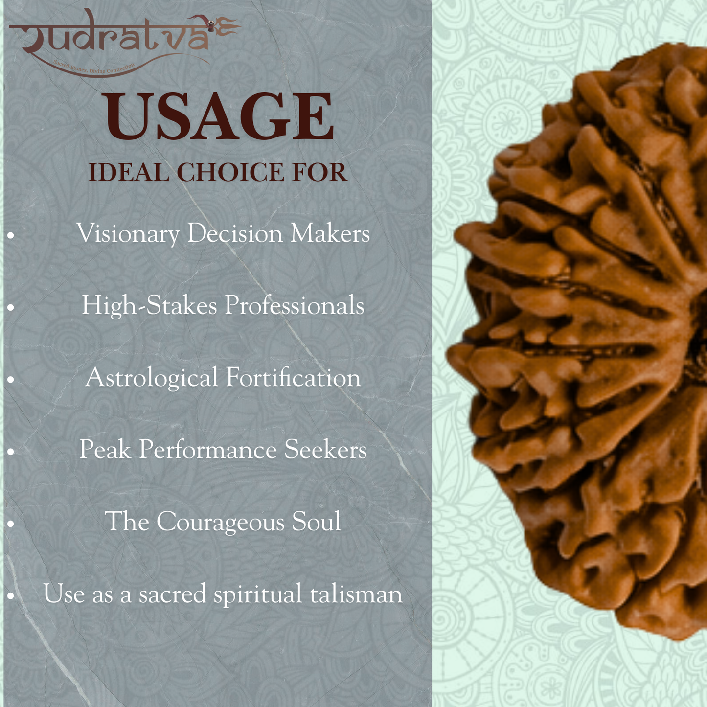 Original 14 Mukhi Rudraksha Bead – 28mm | Certified & Natural