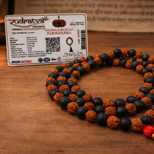 Karungali Rudraksh Mala – Divine Protection, Healing & Spiritual Power