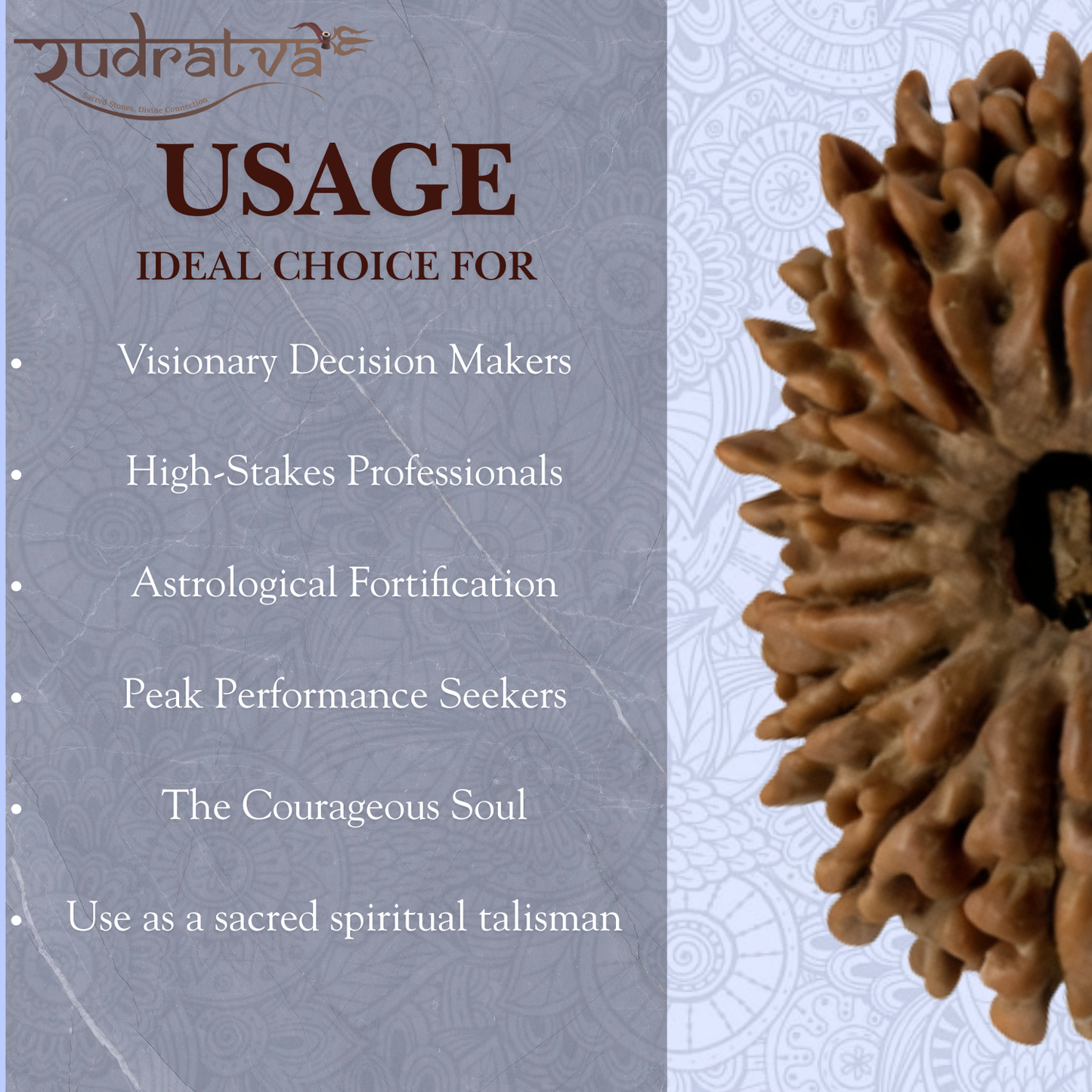 Original 14 Mukhi Rudraksha Bead – 23mm | Certified & Natural