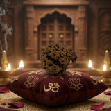 Ganesh Rudraksha (20mm) – Original Ganesh Mukhi for Obstacle Removal, Wisdom & Success