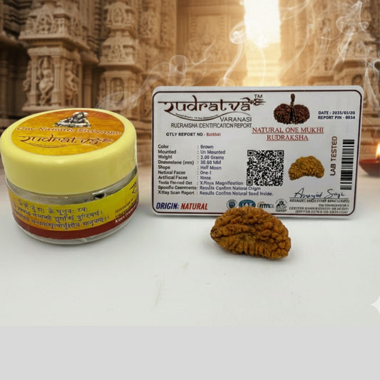 1 Mukhi Rudraksha (30mm) – Divine Blessings of Lord Shiva | Rare & Authentic