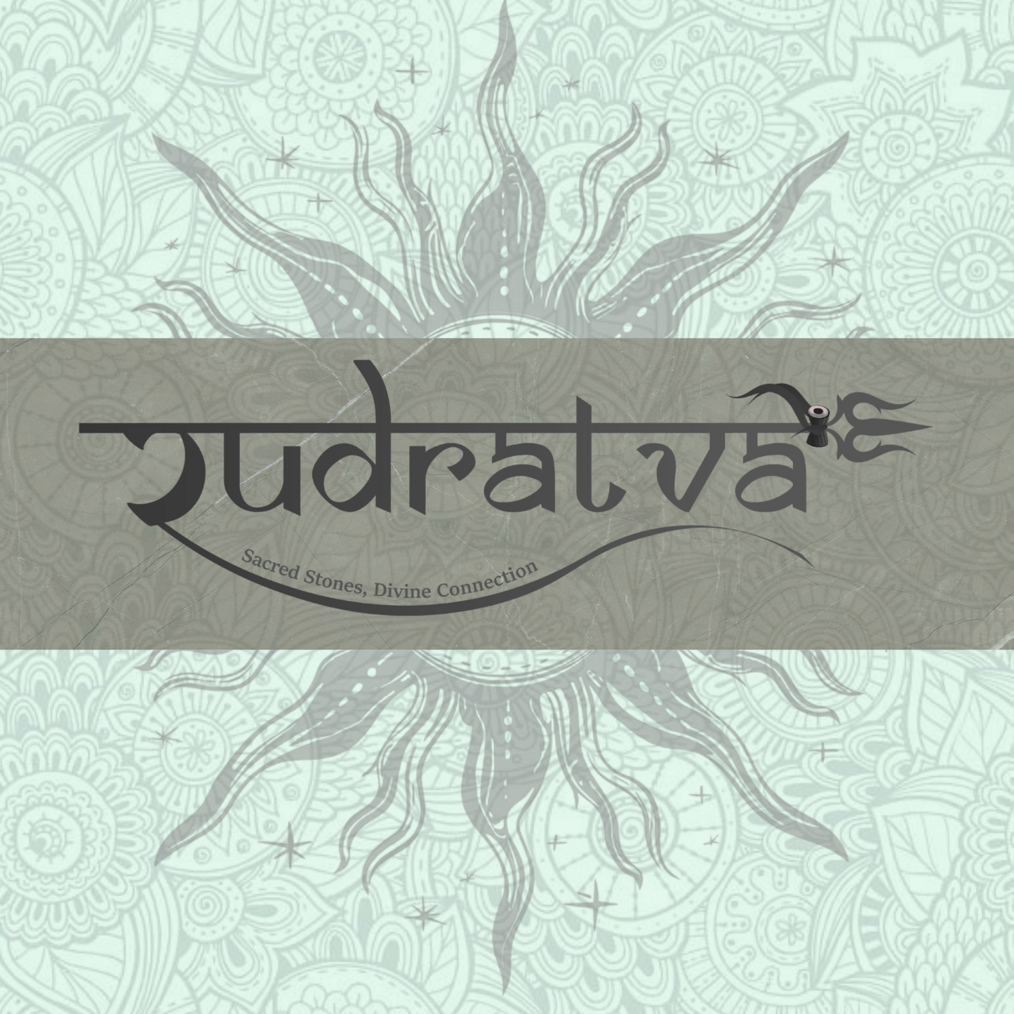 Original 14 Mukhi Rudraksha Bead – 28mm | Certified & Natural