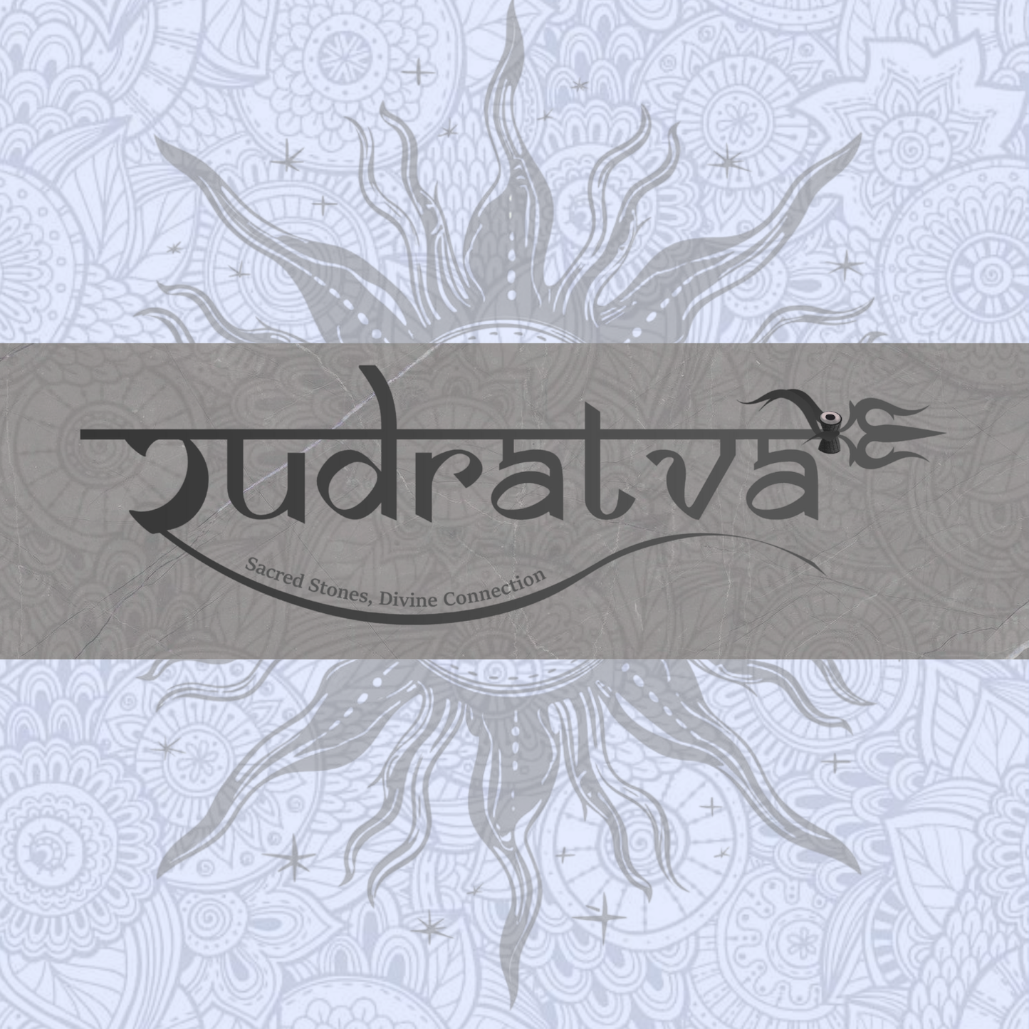 Original 14 Mukhi Rudraksha Bead – 23mm | Certified & Natural