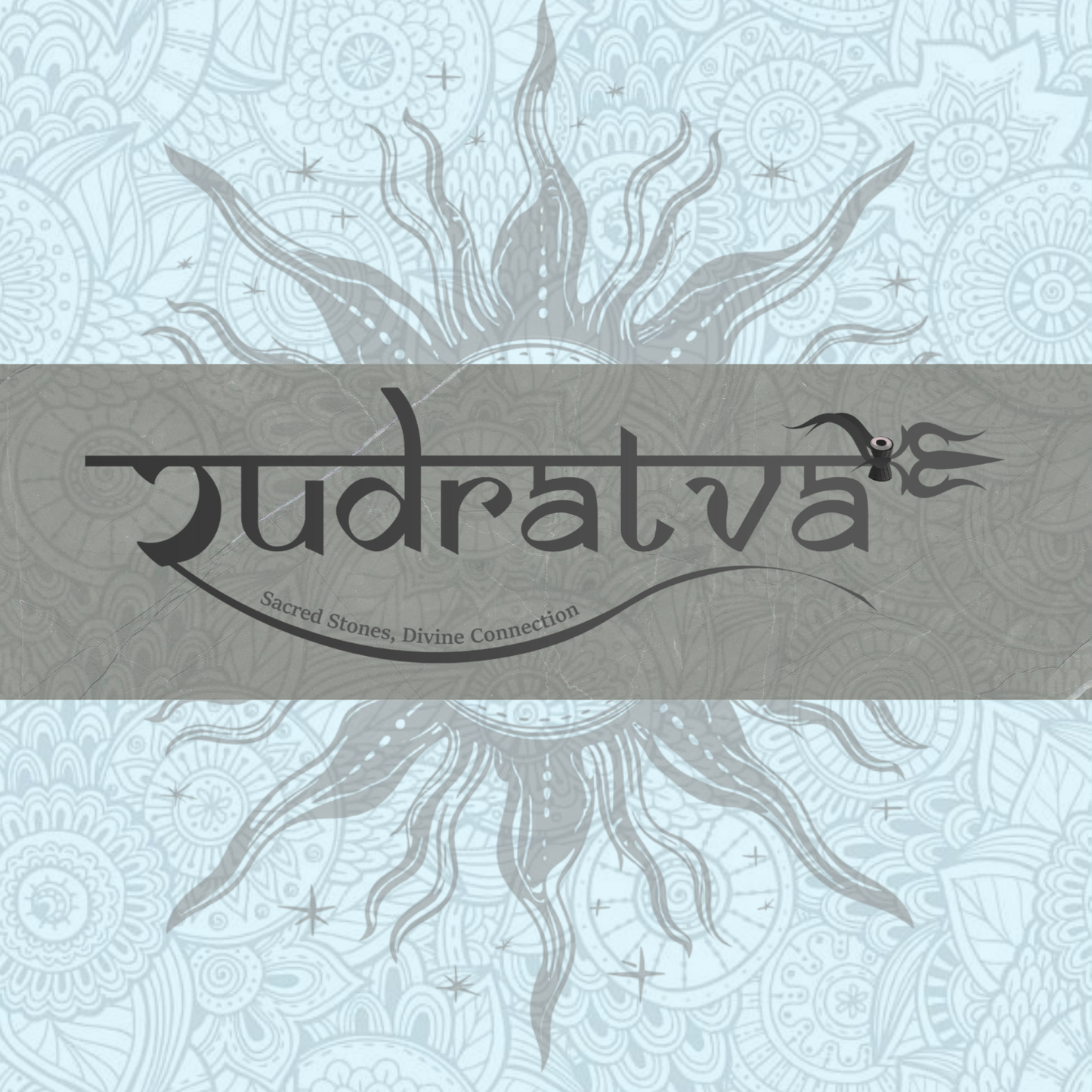 Original 14 Mukhi Rudraksha Bead – 25mm | Certified & Natural