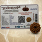 9 Mukhi Rudraksha (25mm) – Original Nau Mukhi for Power, Fearlessness & Goddess Durga Blessings