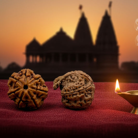 Laxmi Ganesh Rudraksha (7 Mukhi & Ganesh Mukhi) – Wealth, Prosperity & Obstacle Removal Combo