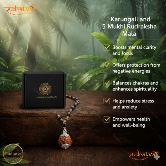 Karungali Rudraksha with 5 Mukhi Pendant | Rudratva
